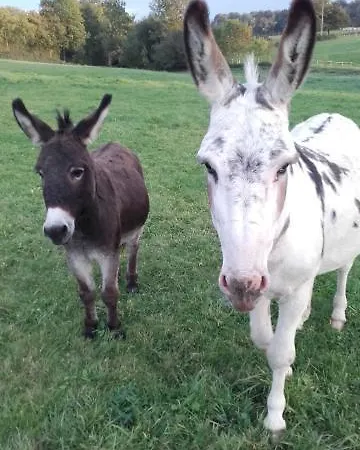Nyaraló Maison Ensoleillee - Gesnes-le-Gandelin